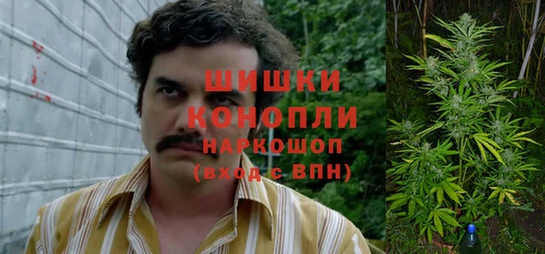 твердый Михайловск