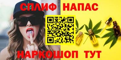 apvp Гусев