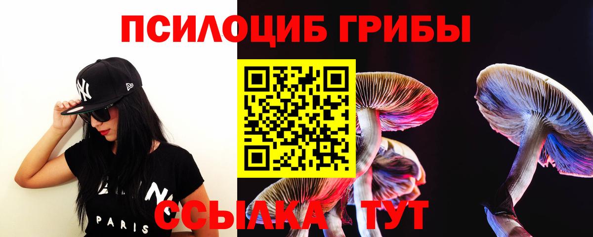 дарнет шоп  Псилоцибиновые грибы прущие грибы  Вход с VPN  Минеральные Воды 
