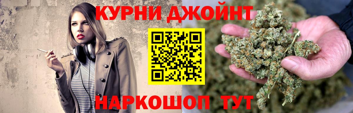 Конопля сатива Минеральные Воды